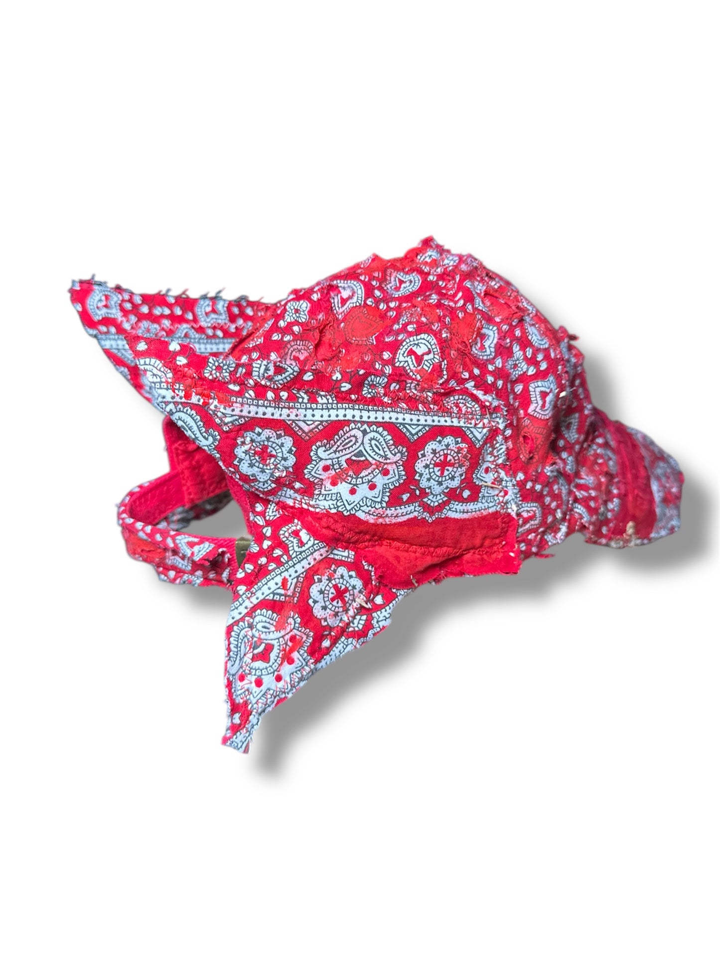 RED WING CAP